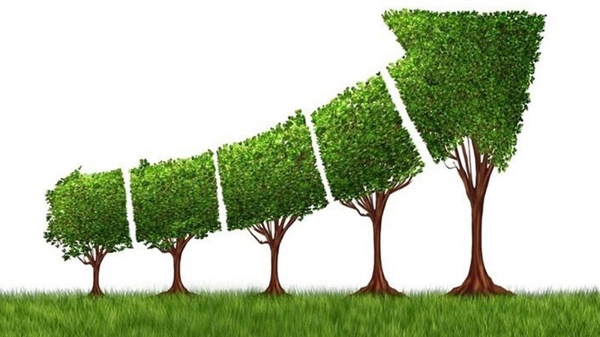 Phát triển kinh tế theo hướng tăng trưởng xanh, không đánh đổi môi trường lấy tăng trưởng kinh tế