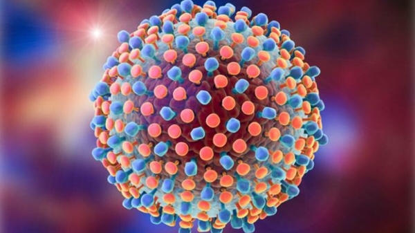 WHO cảnh báo nguy cơ viêm gan cấp tính nặng ở trẻ nhỏ liên quan Covid-19