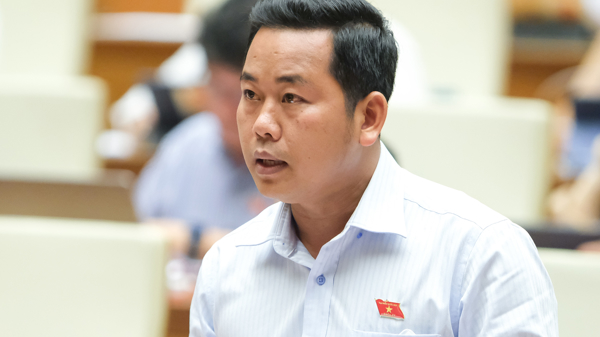 Đại biểu Quốc hội đề nghị xử lý triệt để các hành vi xâm phạm quyền sở hữu trí tuệ