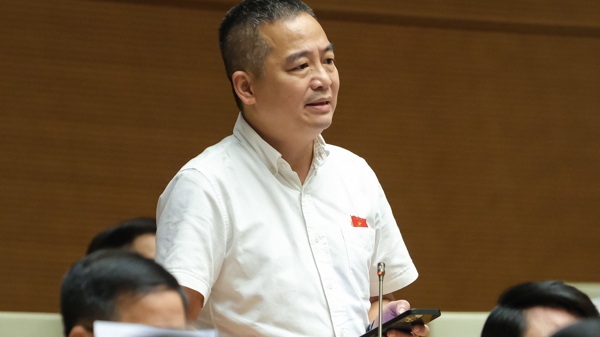 Đại biểu Quốc hội đề nghị cấm bán sách tham khảo trong nhà trường