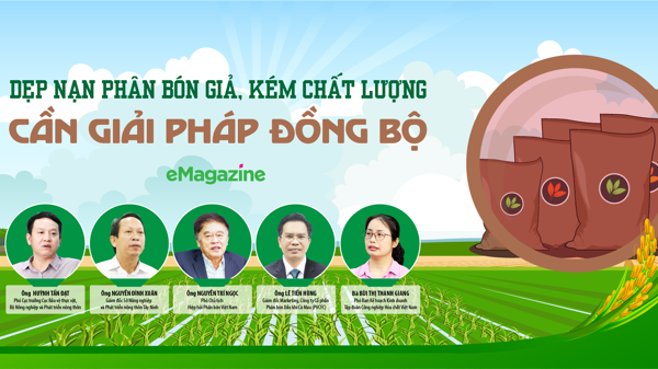 Dẹp nạn phân bón giả, kém chất lượng: Cần giải pháp đồng bộ