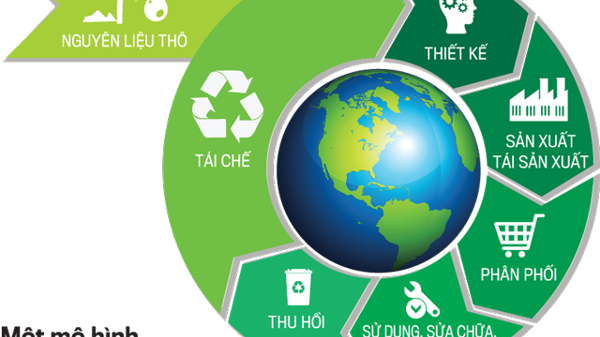 Xanh hóa doanh nghiệp từ các mô hình kinh tế tuần hoàn