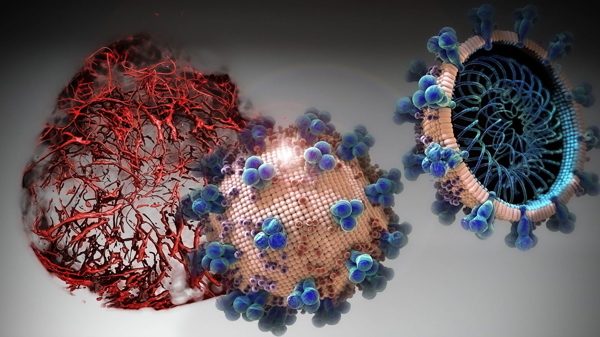 Đi tìm “lỗ hổng” của virus để đưa ra phương pháp điều trị Covid-19 mới