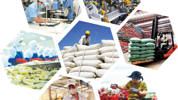 Định vị thương hiệu sản phẩm Việt trên thị trường xuất khẩu