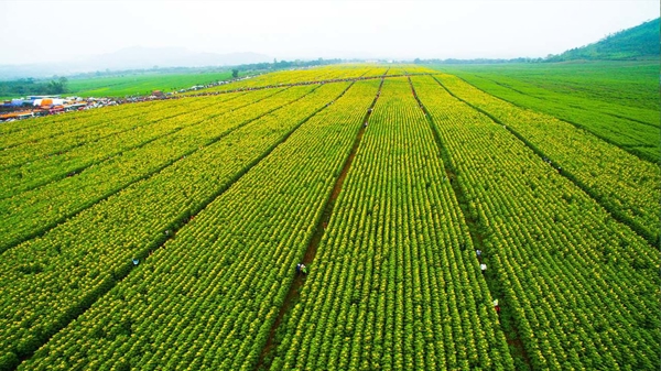 Những doanh nghiệp Việt lần đầu được vinh danh trong Top 10 Thương hiệu xanh 2022