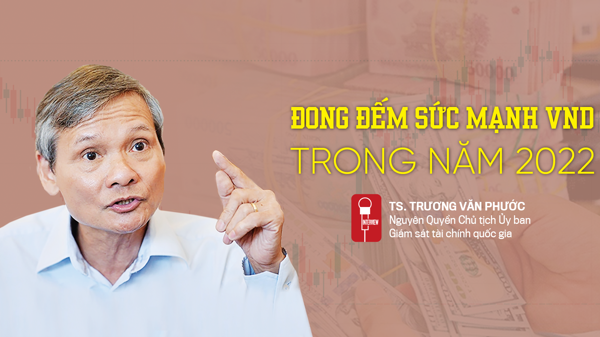 Đong đếm sức mạnh VND trong năm 2022