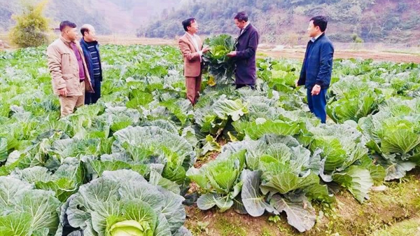 Bố trí ngân sách phát triển kinh tế tập thể, hợp tác xã nhưng hạn chế xin cho, trục lợi chính sách