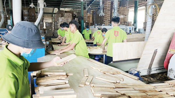 Gỗ ghép thanh tồn kho lớn 