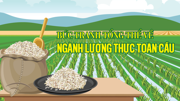 Bức tranh tổng thể về ngành lương thực toàn cầu
