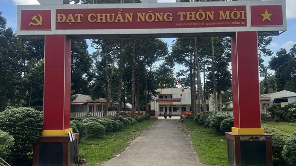 Người Chơro trồng rừng bền vững: Đoạn tuyệt kiếp đói nghèo