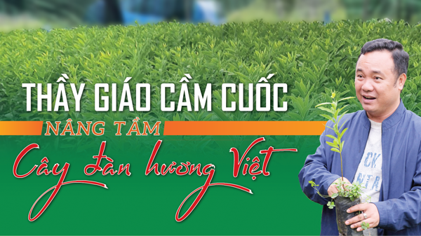 Thầy giáo cầm cuốc: Nâng tầm cây đàn hương Việt