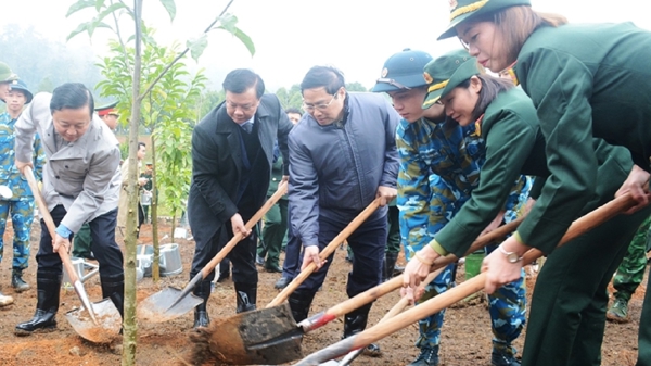 Khí thế sản xuất nông nghiệp, lâm nghiệp trong tháng đầu năm