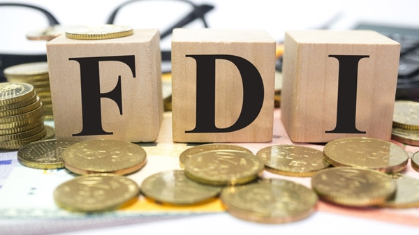 “Đại bàng” FDI báo lỗ triền miên