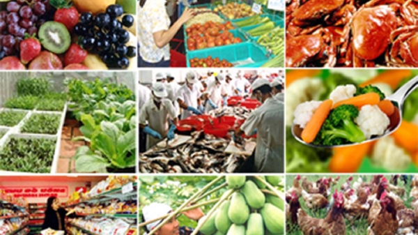 Xuất khẩu thủy sản bật tăng mạnh mẽ, rau màu bội thu nhờ được giá