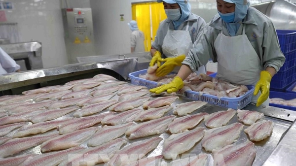 Xuất khẩu thủy sản đặt kỳ vọng tăng trưởng trong quý 2/2023