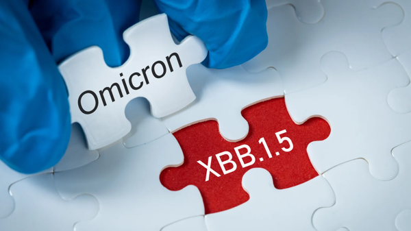 Biến chủng XBB.1.5 đã được ghi nhận tại Việt Nam