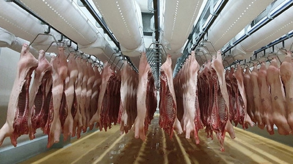 Chi hàng tỷ USD mỗi năm để nhập khẩu các sản phẩm chăn nuôi 