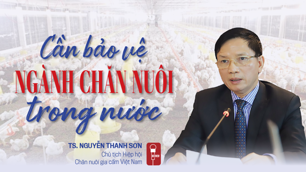 Cần bảo vệ ngành chăn nuôi trong nước
