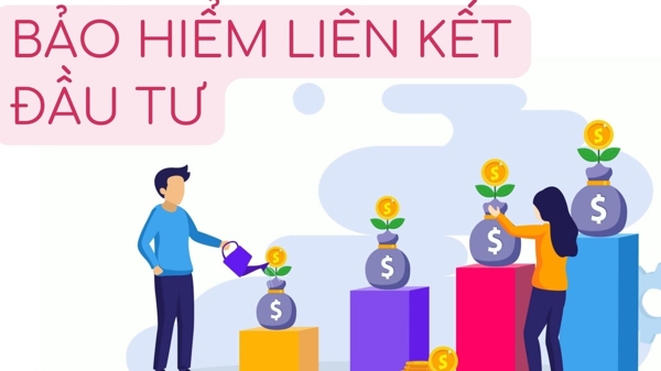 Đại biểu Quốc hội kiến nghị Bộ Tài chính thanh tra tập trung loại hình bảo hiểm liên kết đầu tư