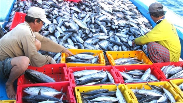 Doanh nghiệp thủy sản và đồ gỗ “oằn mình” vì lãi vay