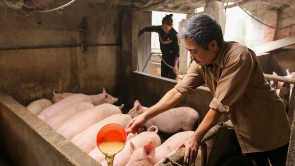 Toàn ngành chăn nuôi nhập siêu gần 4,3 tỷ USD trong nửa đầu năm