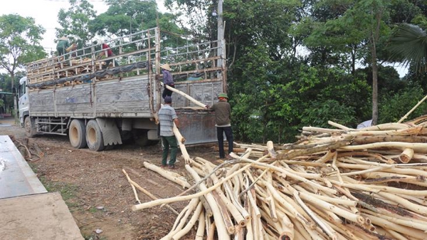 Cơ quan thuế phân trần lý do chậm hoàn thuế VAT