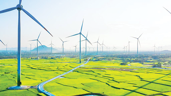 Nhiều doanh nghiệp ngại đi trên “con đường màu xanh”