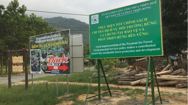 8 tháng, cả nước thu gần 2.000 tỷ tiền dịch vụ môi trường rừng