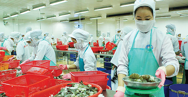 Bộ Tài chính từ chối một số kiến nghị của VASEP