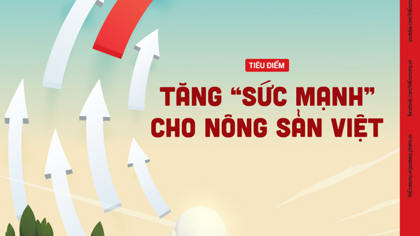 Đón đọc Tạp chí Kinh tế Việt Nam số 45-2023