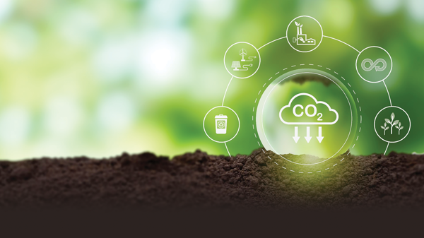 Việt Nam tiến gần hơn tới thị trường tín chỉ carbon