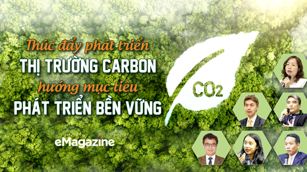 Thúc đẩy phát triển thị trường carbon, hướng mục tiêu phát triển bền vững