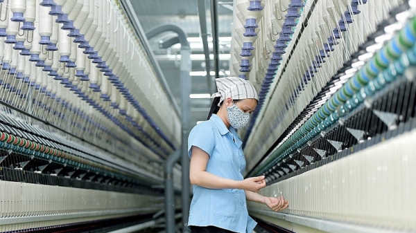 Năm 2023 Hà Nội có hơn 31.000 doanh nghiệp mới