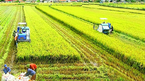 Nông nghiệp tăng trưởng cao nhất trong 10 năm  