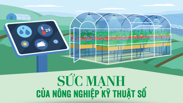 Sức mạnh của nông nghiệp kỹ thuật số