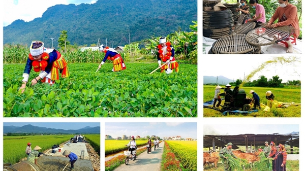 Thí điểm phân cấp cho cấp huyện trong quản lý, tổ chức thực hiện các chương trình mục tiêu quốc gia