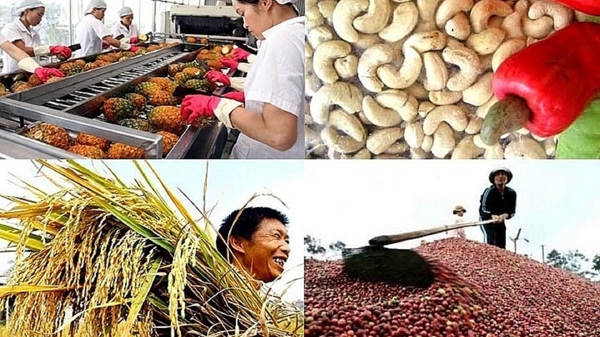 Xuất khẩu nông lâm thủy sản hướng tới kỷ lục mới