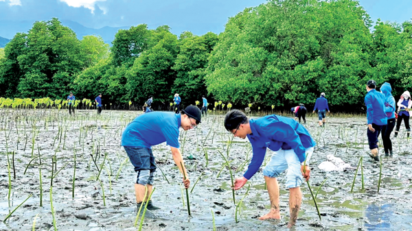 Việt Nam cần có chiến lược phù hợp trong tiến trình dịch chuyển dòng vốn xanh