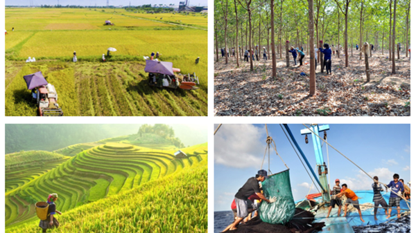 Nông nghiệp tháng 5/2024: Chăn nuôi và thủy sản được giá, trồng rừng tăng nhanh