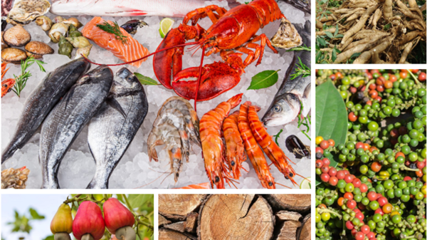 Xuất khẩu nông lâm thủy sản 5 tháng đầu năm 2024: Nhiều nhóm hàng chủ lực tăng trưởng cao