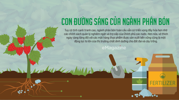 Con đường sáng của ngành phân bón
