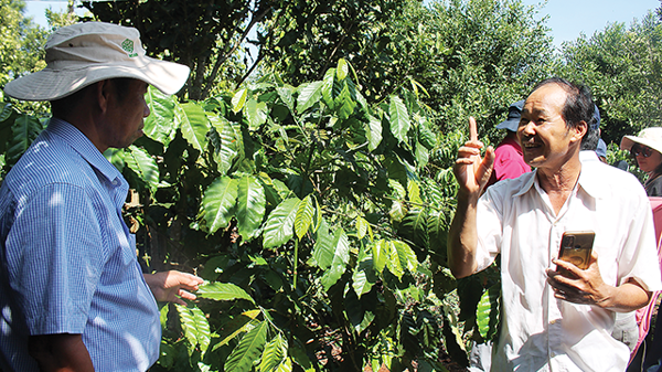 Xây dựng kho dữ liệu về nông nghiệp 