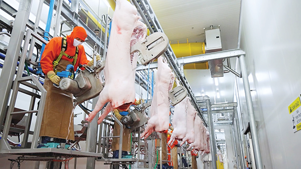 Phải xử lý triệt để, xóa bỏ lò giết mổ thủ công