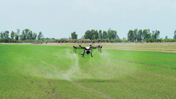 Nông nghiệp và vai trò bệ đỡ