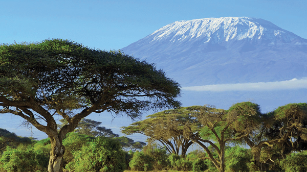 Kinh tế Châu Phi năm 2023 và triển vọng 2024