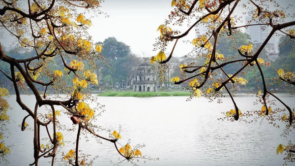 Đã có 11,4 triệu khách quốc tế đến Việt Nam trong 8 tháng qua