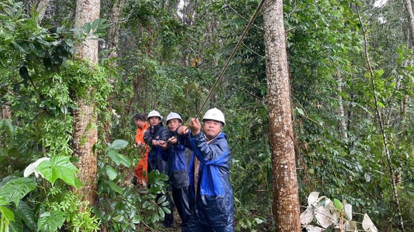 5,3 triệu khách hàng đã được cấp điện trở lại