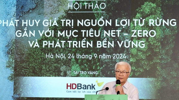 Khai thác nguồn lợi từ rừng hướng tới phát triển kinh tế và môi trường bền vững