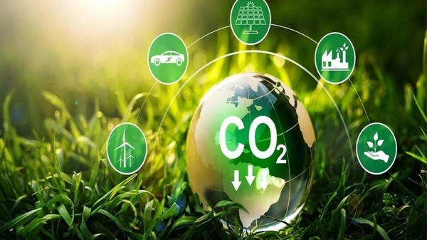 Các giải pháp cải thiện hệ thống thị trường carbon của Việt Nam