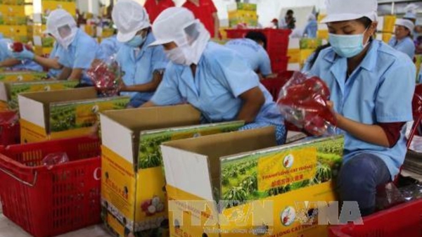 Xuất khẩu nông, lâm, thủy sản cuối năm sẽ nhiều thách thức